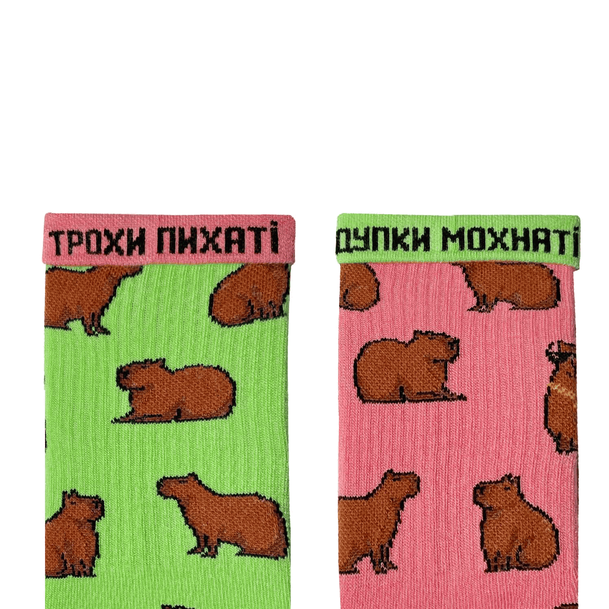 Шкарпетки "Капібара з цепурою" - Noskar®