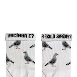 Голуби білі середні