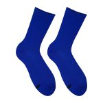 Безутискові сині