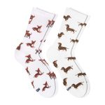 набір такса чихуа